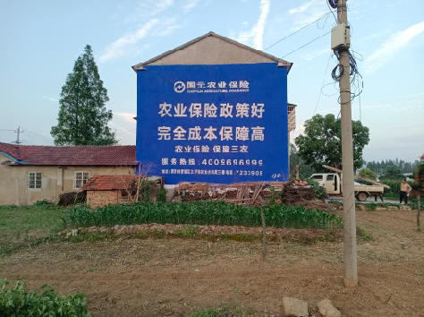 宁都墙体广告为何受追捧？